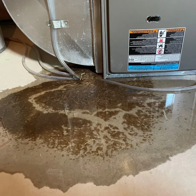 Pipe Burst and Leak Restoration in Saylorsburg, PA